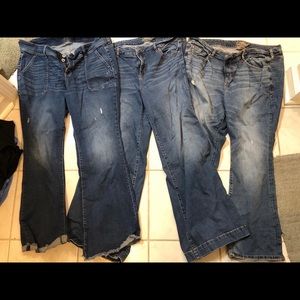 Torrid Jeans- Size 18 (3 Pairs!)